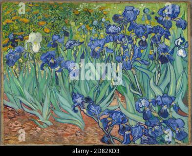 Titel: Irises Ersteller: Vincent van Gogh Datum: 1889 Medium: Öl auf Leinwand Maße: 71 x 93 cm Ort: J. Paul Getty Museum, Los Angeles Stockfoto