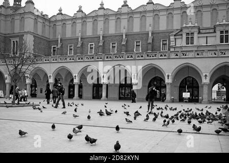 Fußgänger und Tauben wurden 1257 entworfen und teilen sich am 10. Januar 2010 den Hauptmarktplatz vor der Textilhalle in Krakau, Polen. Stockfoto