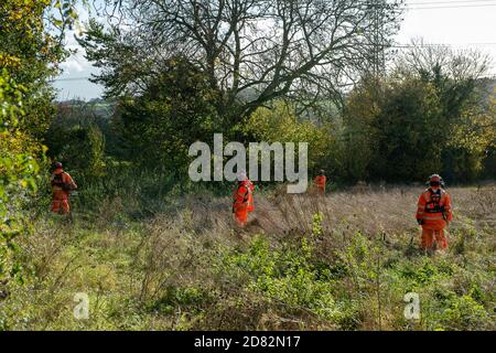 Wendover, Aylesbury Vale, Großbritannien. Oktober 2020. HS2-Auftragnehmer waren heute in Heckenscharten, aber nur um zahlreiche Eingänge zu Dachsniederungen auf einem öffentlichen Fußweg und Felder, die an Land anschliessen, das HS2 nun zwanghaft auf Durham Farm gekauft hat. Einige der Eingänge zu den Dachsniederungen waren vorher verdrahtet. Die Umweltaktivisten gegen HS2 haben ernsthafte Bedenken hinsichtlich der äußerst schädlichen Auswirkungen geäußert, die der Bau der Hochgeschwindigkeitsbahn HS2 von London nach Birmingham auf die Tierwelt hat. Quelle: Maureen McLean/Alamy Live News Stockfoto