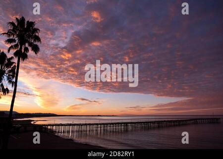 Ventura Pier mit Palmen bei Sonnenaufgang über dem Pazifik, Kalifornien Stockfoto