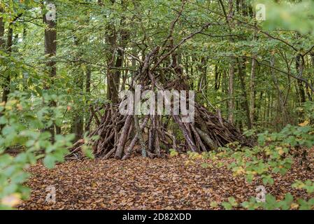 Hütte aus Ästen in einem grünen Buchenwald und trockenen Blättern auf dem Boden, Jaegerspris, Dänemark, 23. Oktober 2020 Stockfoto