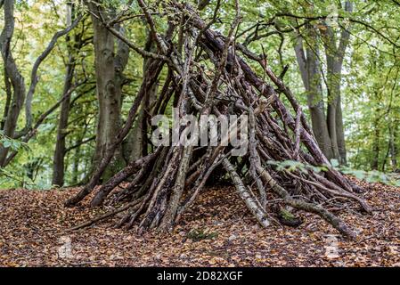 Hütte aus Ästen in einem grünen Buchenwald mit großen Bäumen und trockenen Blättern auf dem Boden, Jaegerspris, Dänemark, 23. Oktober 2020 Stockfoto