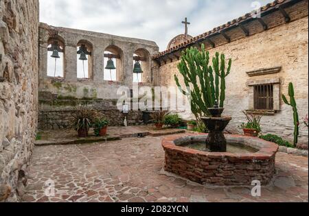 Saftige Rosetten wachsen mit der nächsten Pflanze schärfer und heller vor einer blassen, rötlichen Wand in Mission San Juan Capistrano, Kalifornien. Stockfoto