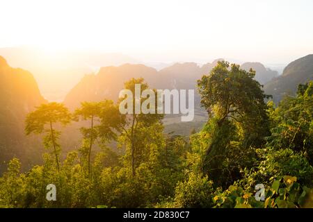 Sonnenstrahlen brechen durch Bäume auf dem Berg Stockfoto