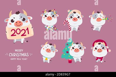 Set von niedlichen Cartoon Ochse und Kühe.Frohes neues Jahr Stock Vektor