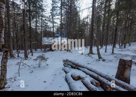 Die unberührte Natur des Zeya Reservats. Zwischen der Taiga steht eine hölzerne Winterhütte Stockfoto