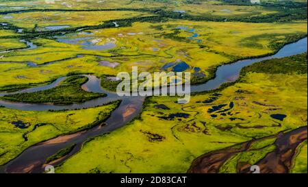Kamtschatka. Grüne Landschaft Avacha Fluss Luftaufnahmen Stockfoto