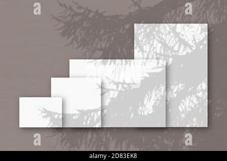 Mehrere horizontale und vertikale Blätter aus weißem strukturiertem Papier vor einem rosa Wandhintergrund. Mockup mit einer Überlagerung von Pflanzenschatten. Tageslicht Stockfoto