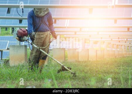 Männliche Mitarbeiter nutzen Rasenmäher, um Gras im Bereich von Solarkraftwerken zu schneiden. Stockfoto