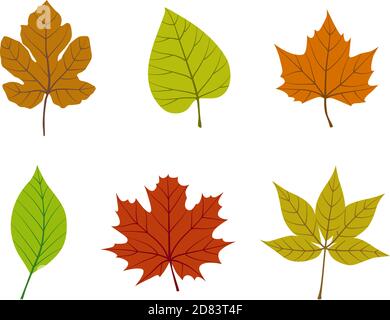 Bunte Herbstblätter. Ideal für Poster, Karten, Etiketten, Banner-Design. Vektorgrafik. Stock Vektor