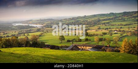 Großbritannien, England, Staffordshire, Moorlands, erhöhter Panoramablick auf Tittesworth Rservoir von den Kakerlaken im Herbst Stockfoto