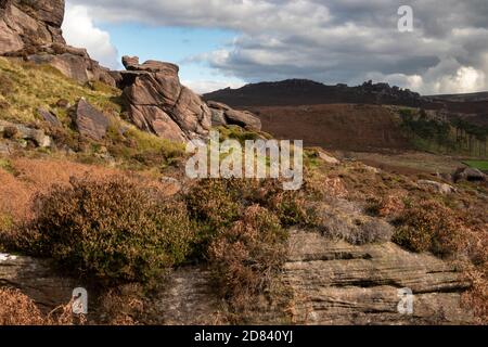 Großbritannien, England, Staffordshire, Moorlands, die Kakerlaken, Heidekraut wächst auf felsigen Ausbisse in der Nähe von Ramshaw Rocks Stockfoto