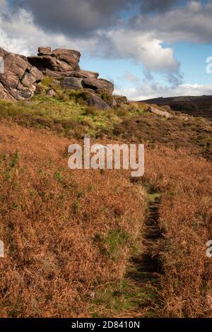 Großbritannien, England, Staffordshire, Moorlands, die Kakerlaken, Weg durch Bracken zu felsigen Ausbissen Stockfoto