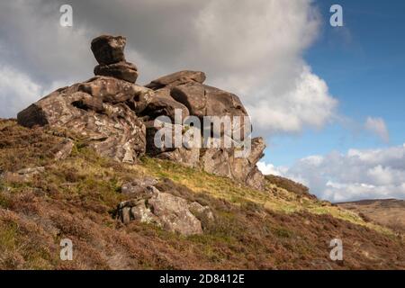 Großbritannien, England, Staffordshire, Moorlands, die Kakerlaken, Ramshaw Rocks erodierte Sandsteinformation Stockfoto