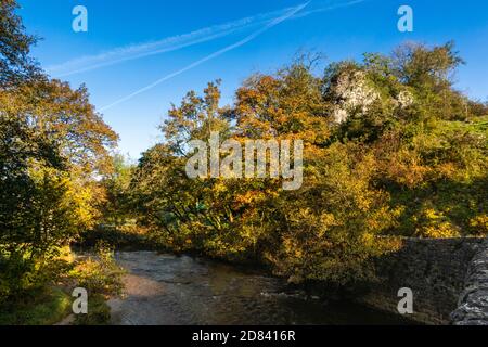 Großbritannien, England, Staffordshire, Moorlands, Wettonmill, Flusskrümmer im Herbst Stockfoto