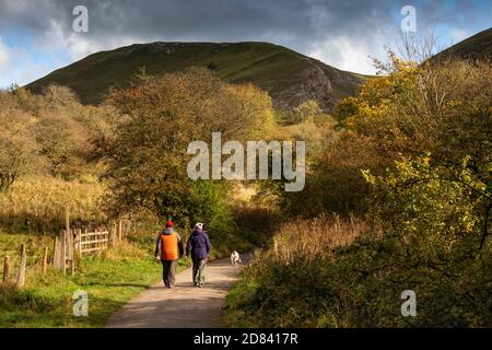 Großbritannien, England, Staffordshire, Moorlands, Wettonmill, mannigfaltiges Tal, Walkers on Trail Stockfoto