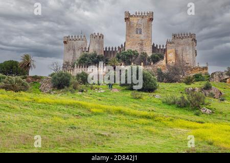 Castillo de Almodóvar del Río ist ein Schloss muslimischer Herkunft in der Stadt von Almodóvar del Río, Provinz Córdoba, Spanien Stockfoto