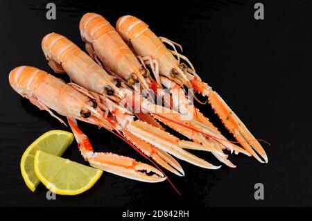 Whole Dublin Bay Garnelen auch als Kaisergranat und Scampi bekannt Auf einem Schieferstein Hintergrund Stockfoto