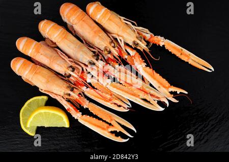 Whole Dublin Bay Garnelen auch als Kaisergranat und Scampi bekannt Auf einem Schieferstein Hintergrund Stockfoto