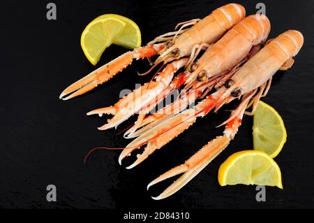 Whole Dublin Bay Garnelen auch als Kaisergranat und Scampi bekannt Auf einem Schieferstein Hintergrund Stockfoto