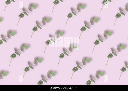 Eukalyptuszweige Muster auf einem lila Hintergrund. Sommerzeitkonzept. Stockfoto