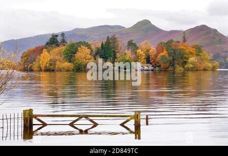 Herbstfarben auf Derwent Isle auf Derwentwater bei Keswick im Seengebiet. Stockfoto