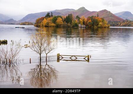 Herbstfarben auf Derwent Isle auf Derwentwater bei Keswick im Seengebiet. Stockfoto