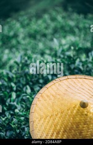 Eine schöne Nahaufnahme eines asiatischen konischen Hutes gegen eine Teeplantage Landschaft und Sträucher, Yangshuo, China Stockfoto