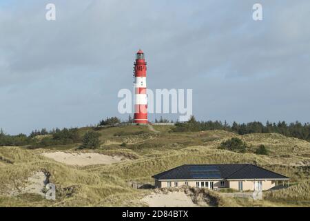 Leuchtturm in Dünenlandschaft, Nebel, Insel Amrum, Nordfriesische Inseln, Schleswig-Holstein, Deutschland Stockfoto