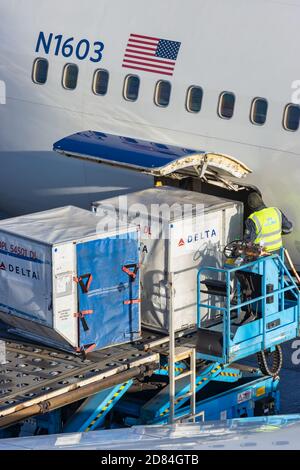 Schiphol, Niederlande - 16. Januar 2020: Verladung eines Frachtcontainers an Bord eines Flugzeugs von Delta Airlines auf dem niederländischen Flughafen Schiphol Stockfoto