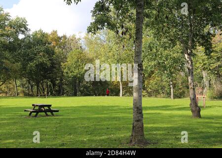 Wye Valley Way Flusspromenade, Groe Park, Builth Wells, Brecknockshire, Powys, Wales, Großbritannien, Großbritannien, Großbritannien, Großbritannien, Europa Stockfoto
