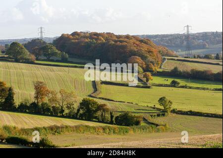 Aylesbury Vale, Buckinghamshire, Großbritannien. Oktober 2020. Ein Viadukt für HS2 wird durch einen Teil des wunderschönen alten Jones Hill Wood gehen. Eine Zufahrtsstraße zu den Wäldern wurde von HS2 durch Ackerland, das HS2 zwangsweise erworben hat, gelegt. Kritisch seltene Barbaren Fledermäuse werden geglaubt, um in diesen Wäldern zu brüten. Der Bau der Hochgeschwindigkeitsbahn von London nach Birmingham gefährdet 108 uralte Waldgebiete, 33 SSSIs und 693 Naturgebiete. Quelle: Maureen McLean/Alamy Stockfoto