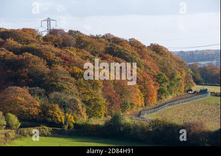 Aylesbury Vale, Buckinghamshire, Großbritannien. Oktober 2020. Ein Viadukt für HS2 wird durch einen Teil des wunderschönen alten Jones Hill Wood gehen. Eine Zufahrtsstraße zu den Wäldern wurde von HS2 durch Ackerland, das HS2 zwangsweise erworben hat, gelegt. Kritisch seltene Barbaren Fledermäuse werden geglaubt, um in diesen Wäldern zu brüten. Der Bau der Hochgeschwindigkeitsbahn von London nach Birmingham gefährdet 108 uralte Waldgebiete, 33 SSSIs und 693 Naturgebiete. Quelle: Maureen McLean/Alamy Stockfoto