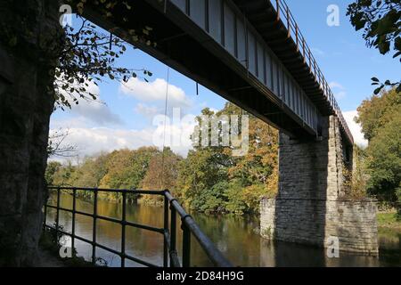 Eisenbahnbrücke über den Fluss Wye zwischen den Bahnhöfen Cilmeri und Builth Road, Builth Wells, Brecknockshire, Powys, Wales, Großbritannien, Großbritannien, Europa Stockfoto