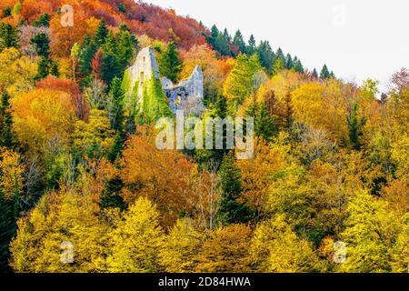 Schloss Löwenburg umgeben von einem Wald in malerischen Herbstfarben, Kanton Jura, Schweiz. Stockfoto