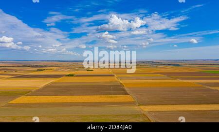 Blick über landwirtschaftliche Felder, bebaute Parzellen in der Erntezeit, schöner blauer Himmel mit weißen, flauschigen Wolken. Stockfoto