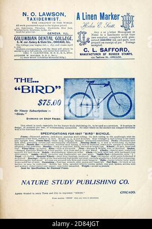 Anzeige für das Bird Bicycle erschien in einer Monatszeitschrift namens 'Birds : Illustrated by colour Photography', einer monatlichen Serie. Kenntnisse des Vogellebens im Jahr 1897. Stockfoto