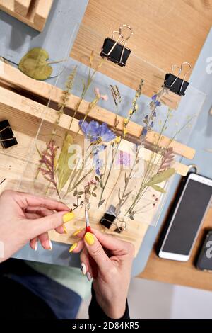 Eine Frau fixiert Glasplatten. Meisterkurs zur Rahmenerstellung mit Herbarium in tiffany-Technik in Buntglas. Herbarium von getrockneten verschiedenen Pflanzen Stockfoto