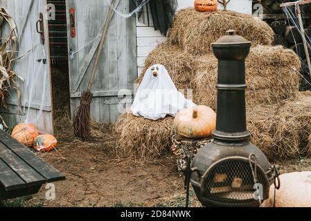 Ein Hund in einem Geisterkostüm auf der Veranda Ein Haus dekoriert, um eine Halloween-Party zu feiern Stockfoto