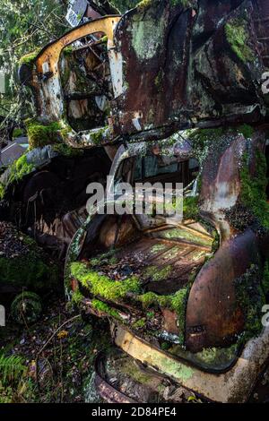 Rostige alte Timer in einem Holz versteckt Stockfoto