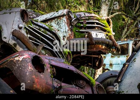 Rostige alte Timer in einem Holz versteckt Stockfoto