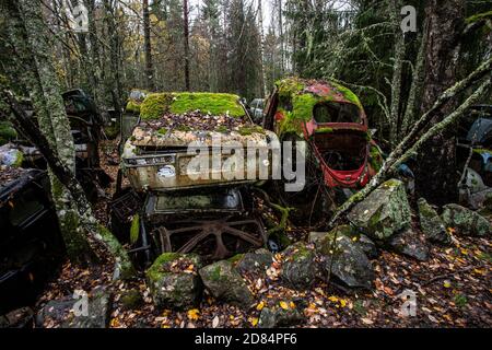 Rostige alte Timer in einem Holz versteckt Stockfoto