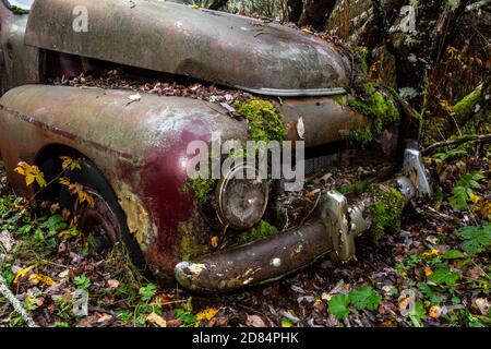 Rostige alte Timer in einem Holz versteckt Stockfoto