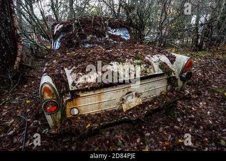 Rostige alte Timer in einem Holz versteckt Stockfoto