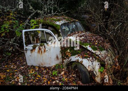 Rostige alte Timer in einem Holz versteckt Stockfoto