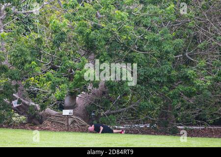 Ein kahler Mann in schwarzem T-Shirt macht seinen Liegestütze im Wald. BOTANISCHE GÄRTEN VON SINGAPUR. Stockfoto