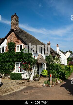 Typische Reetdachhäuser in Dunster, Somerset Stockfoto