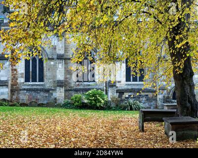 St. Johns Kirche im Herbst aus dem Garten der Erinnerung Knaresborough North Yorkshire England Stockfoto