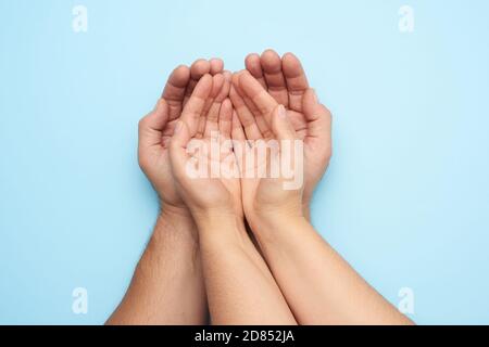 Zwei weibliche Hände liegen in männlichen Handflächen auf blauem Hintergrund, Draufsicht. Familienkonzept Stockfoto