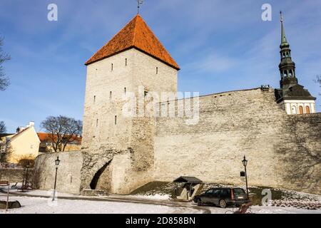 Tallinn, Estland. Der Jungfrauenturm (Neitsitorn), ein Turmteil der Festungen und Mauern der Altstadt von Tallinn Stockfoto